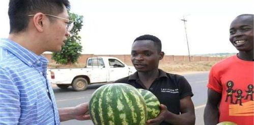 kk表示不服黑料吃瓜